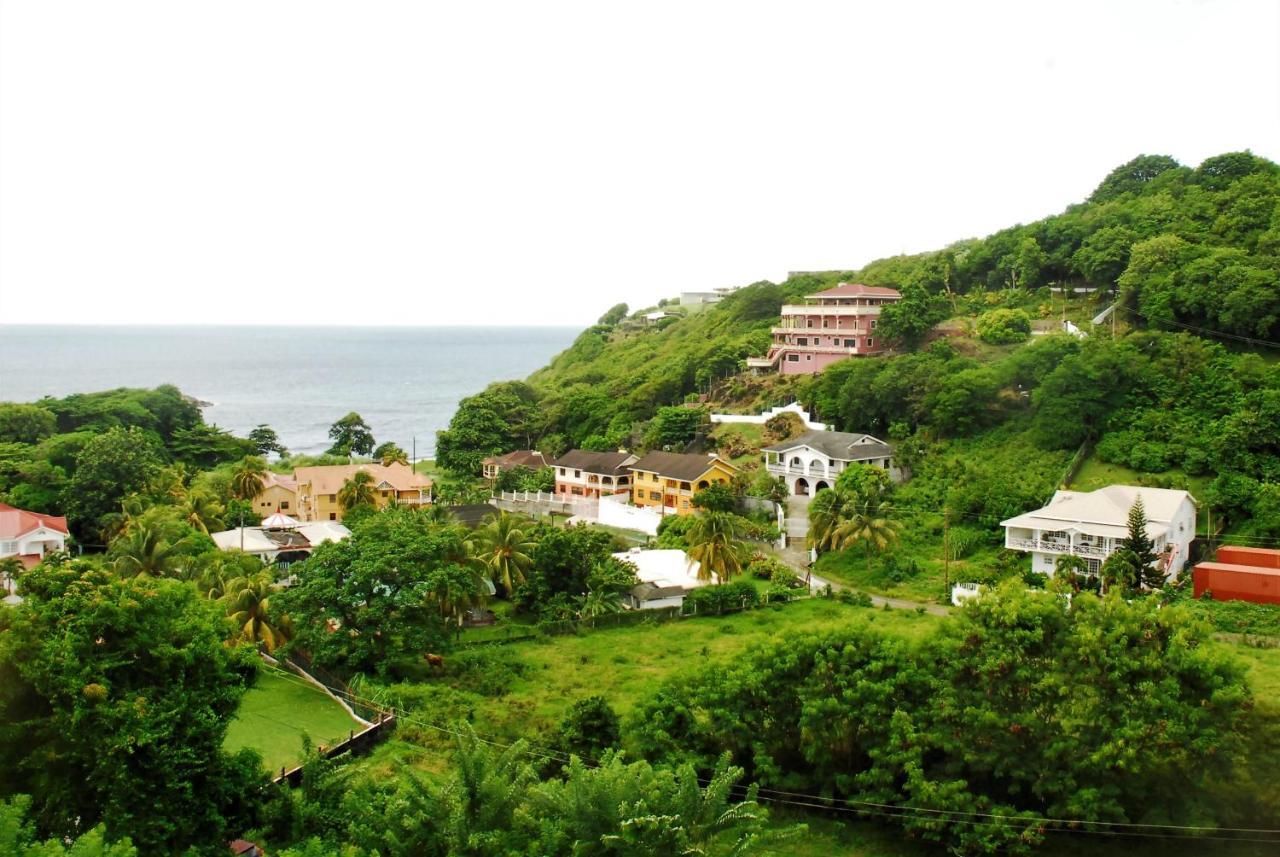 Rich View Hotel 金斯敦 外观 照片