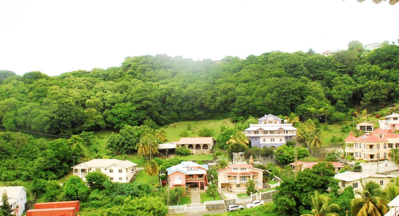 Rich View Hotel 金斯敦 外观 照片